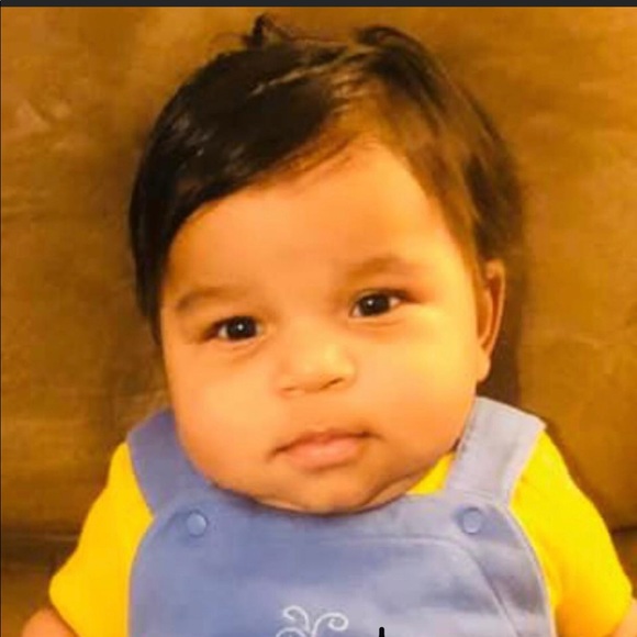 Meet your Posher, Benjie - Picture 8 of 8